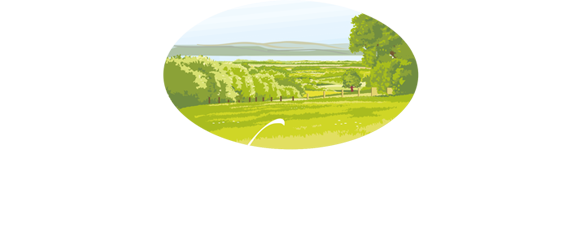 Harbourview Funeral